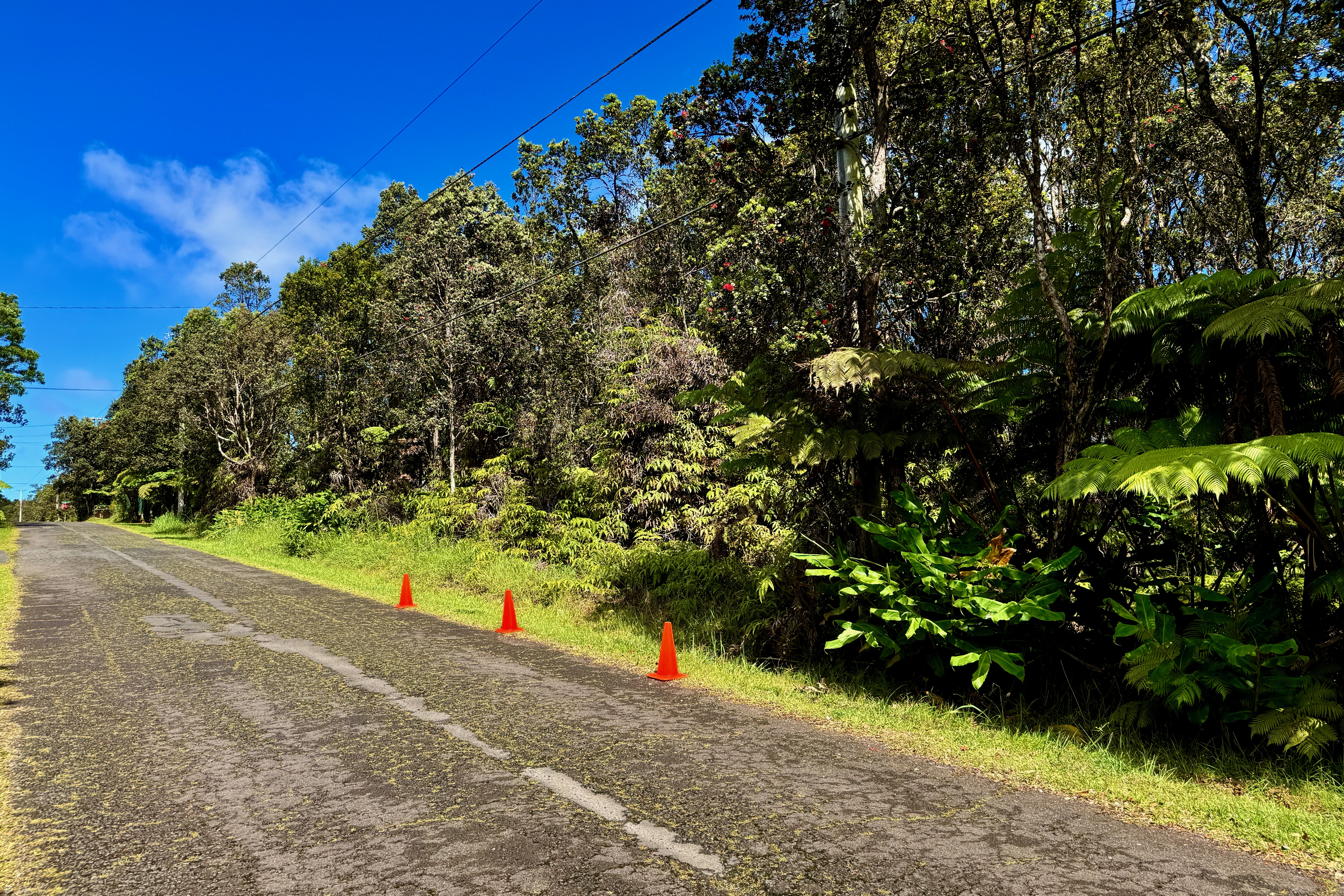 Looking at the side by side driveways to Lots 45 & 47 on 9th St. Almost an acre of native forest is at the end for you to enjoy.