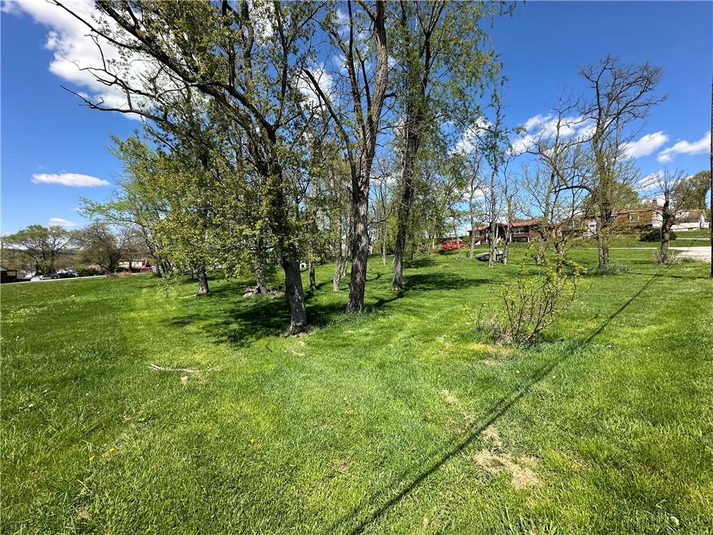 a view of a golf course with a tree