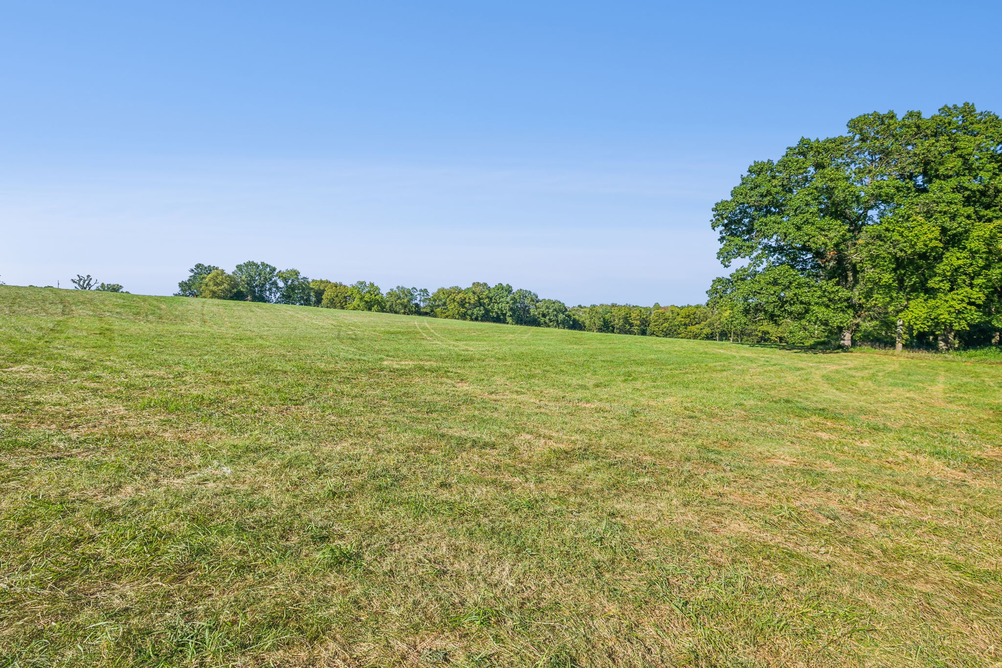 a view of a field with an ocean