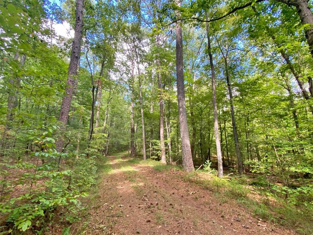 a view of outdoor space and trees