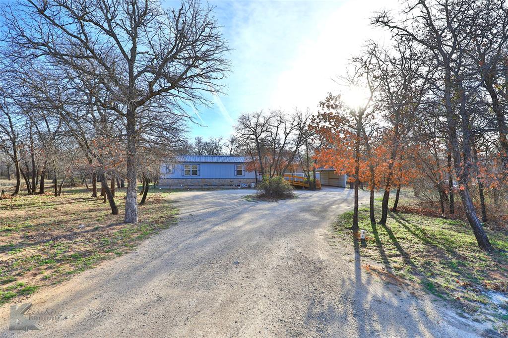 a street view with large trees