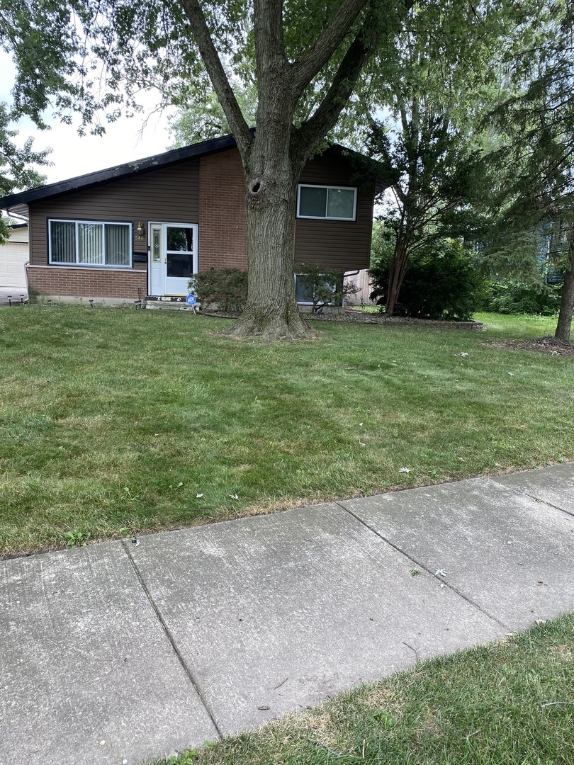 a front view of house with yard and green space