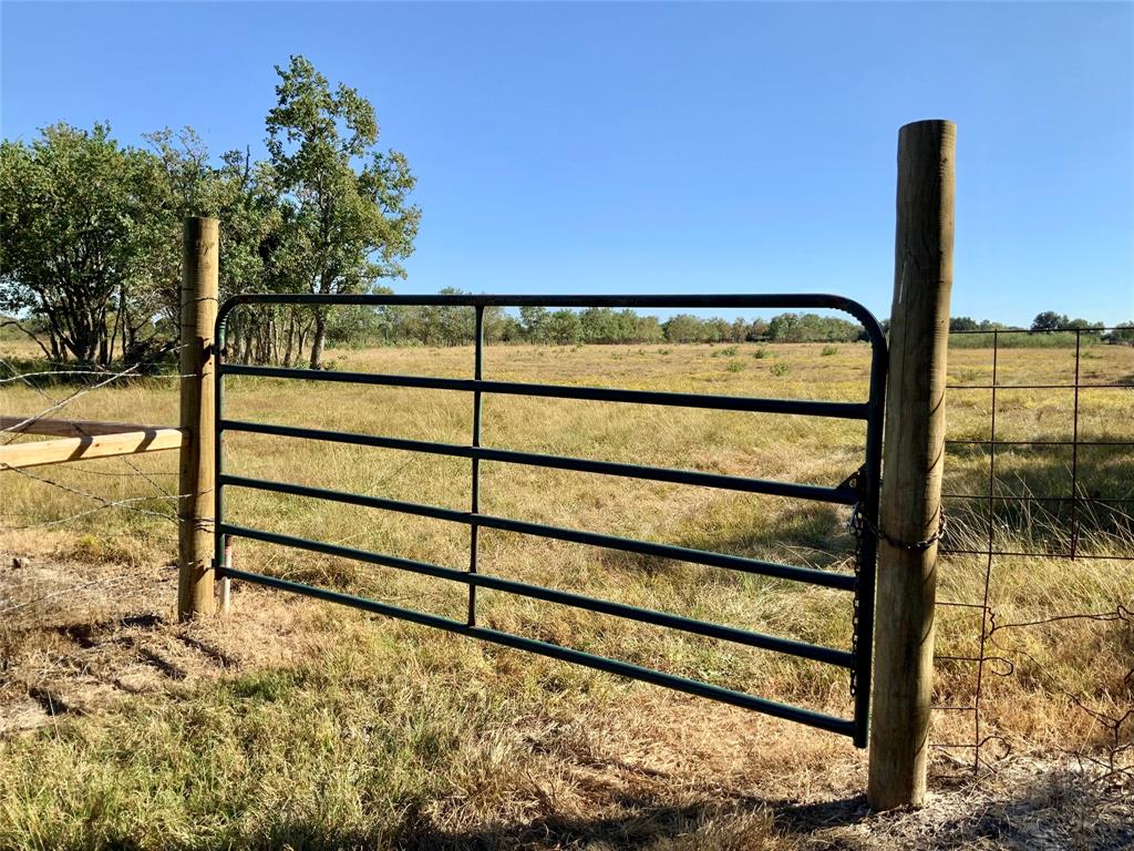 Gate to the entrance of the property