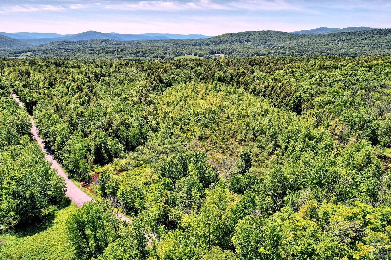 a view of a city with lush green forest