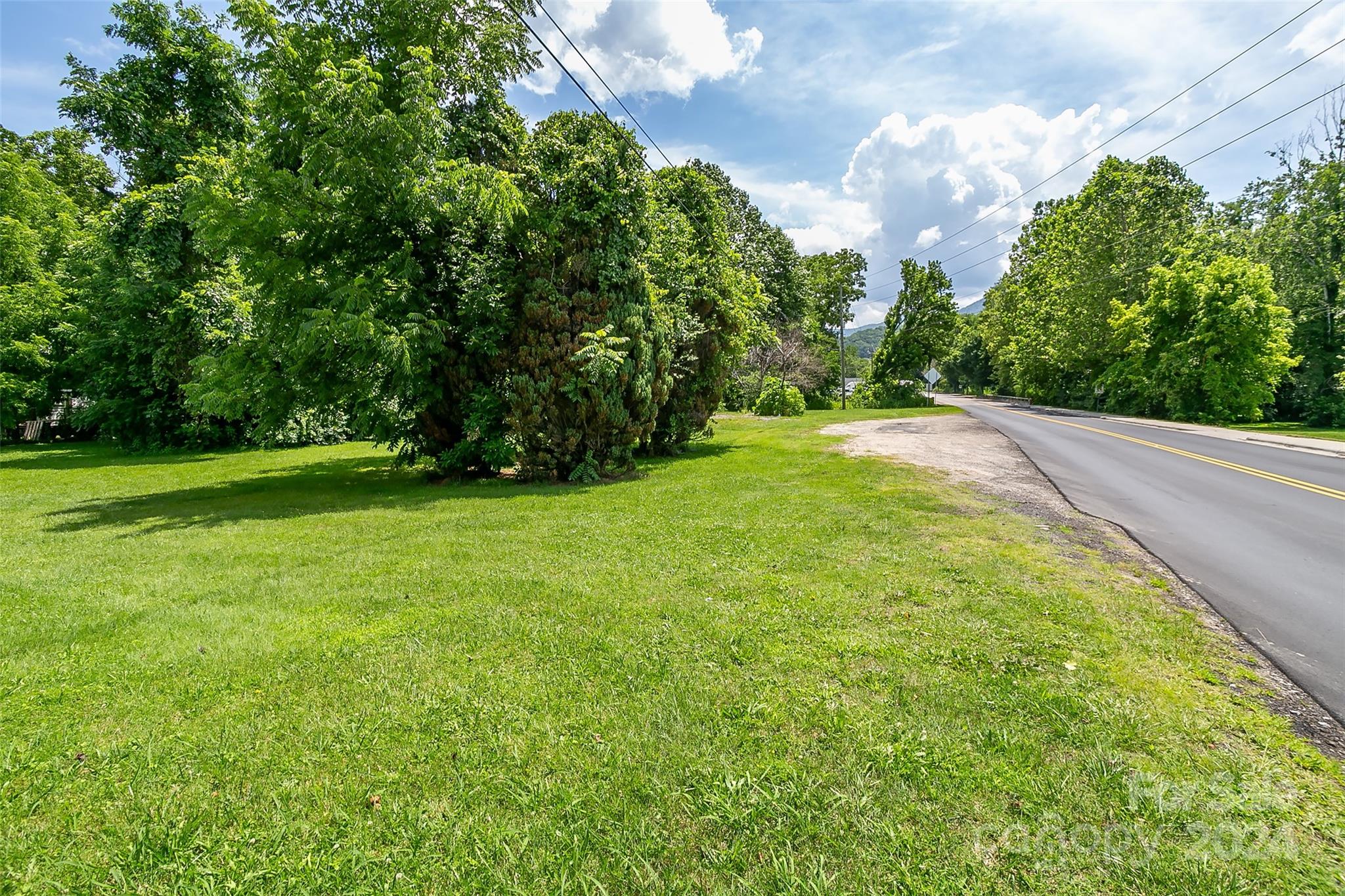 a view of a grassy field with trees