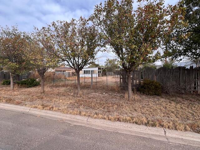 a view of backyard with tree