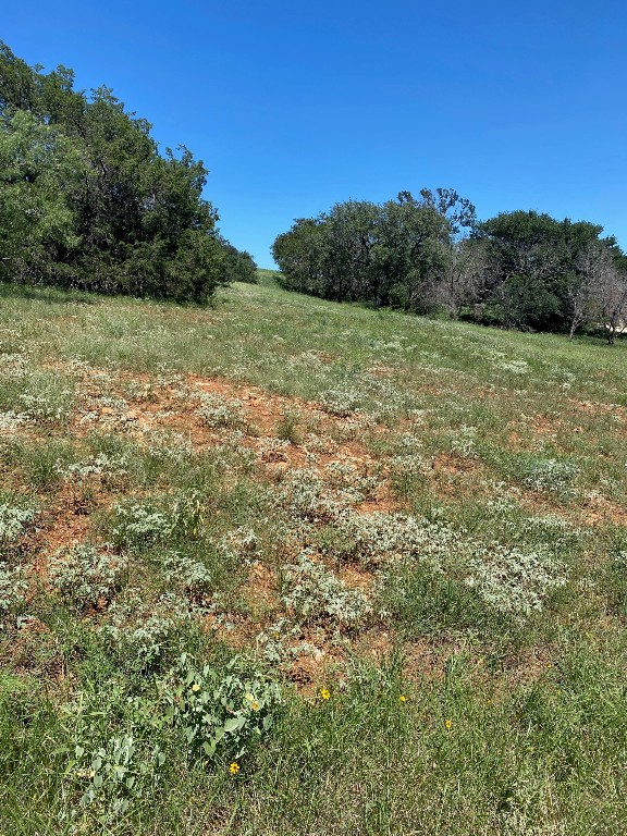 a view of a field with trees in the background