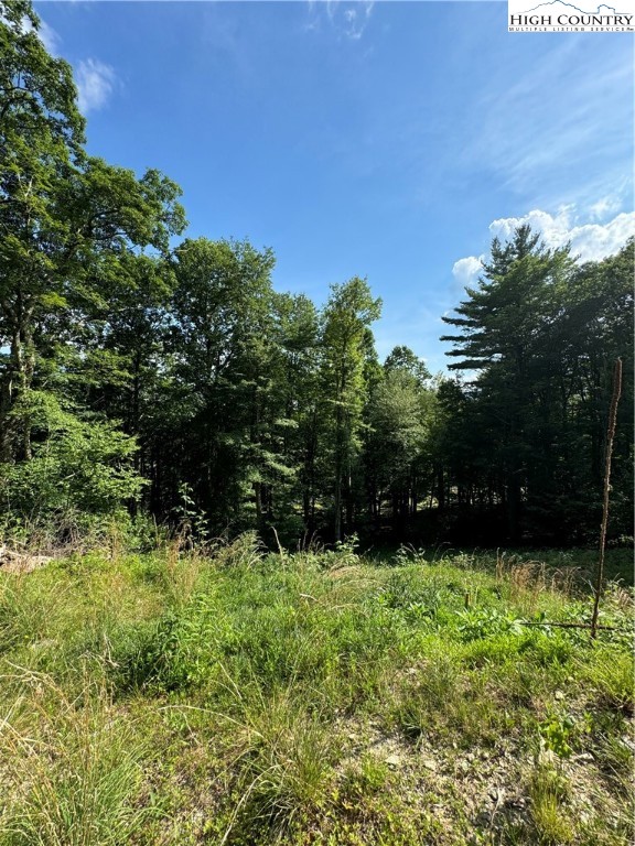 a view of garden with trees