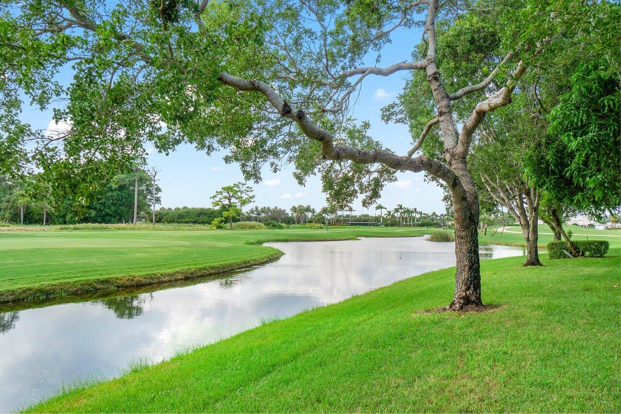 a view of a lake with a yard and large trees