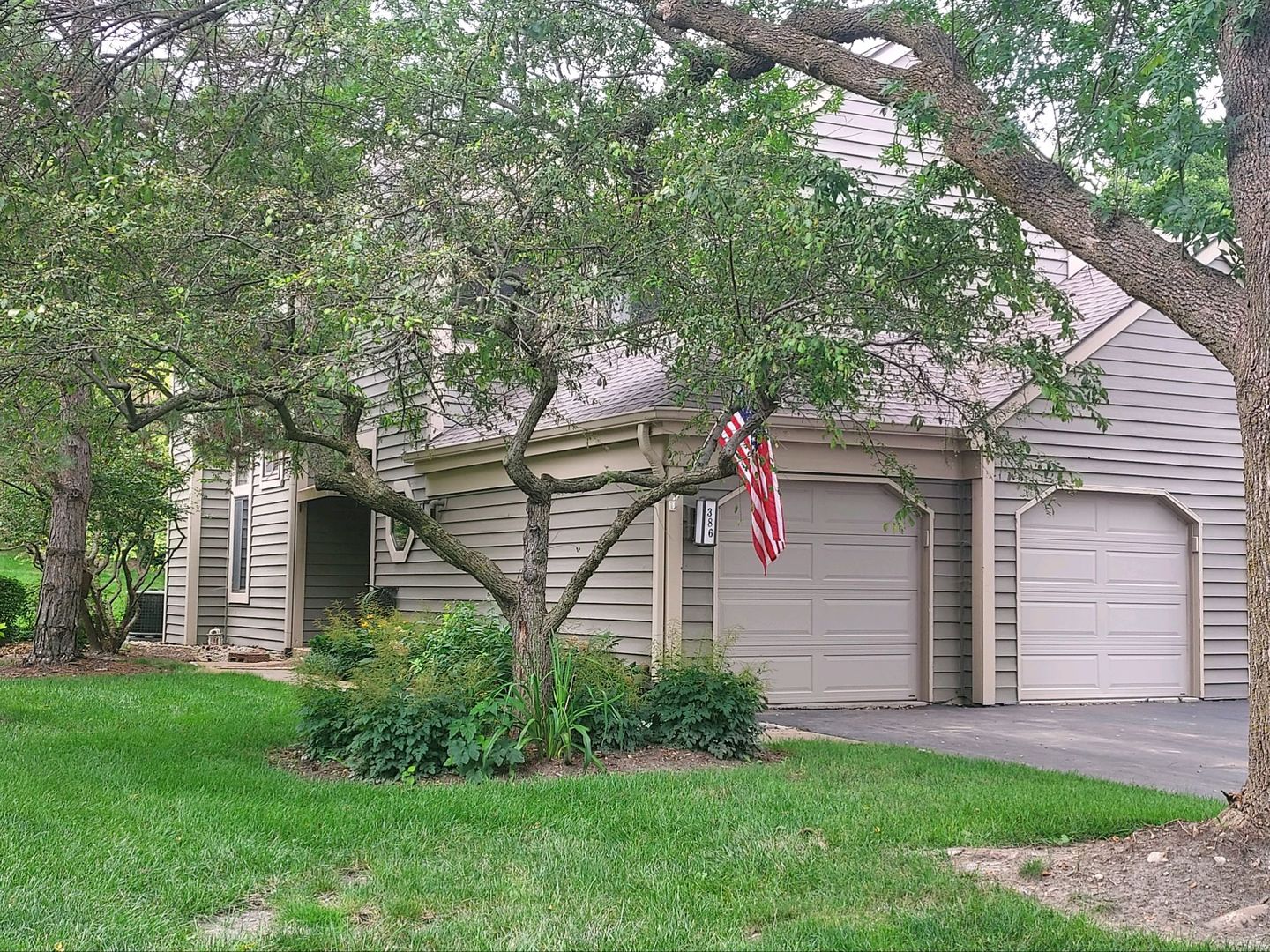 a view of a backyard with plants and large tree