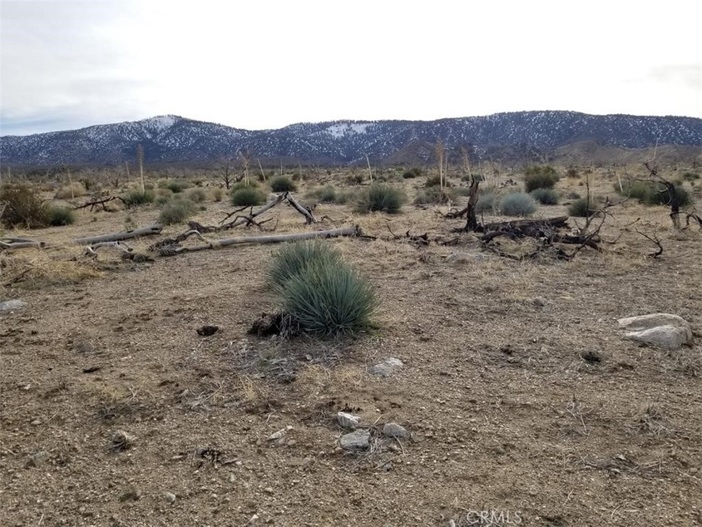 a view of a dry field with mountains in the background