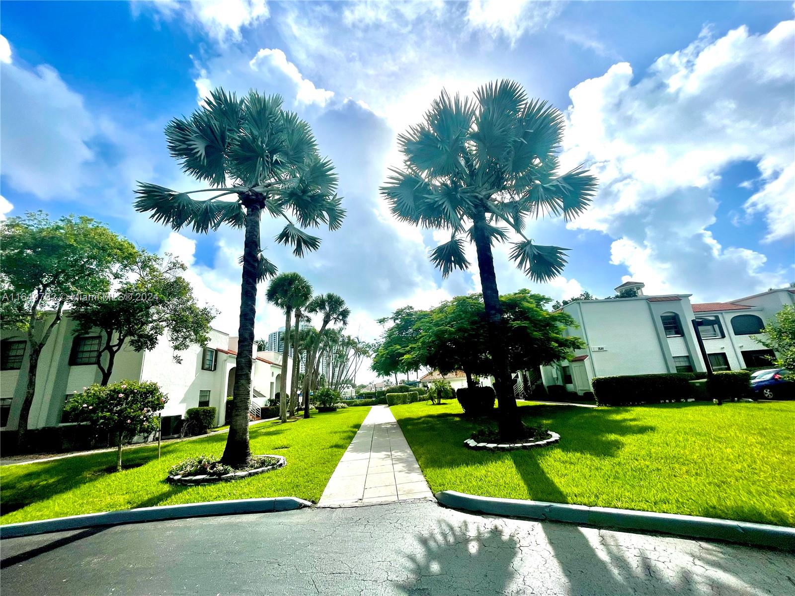 a view of a park with plants and palm trees