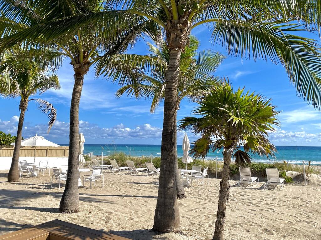 a view of ocean view with palm trees