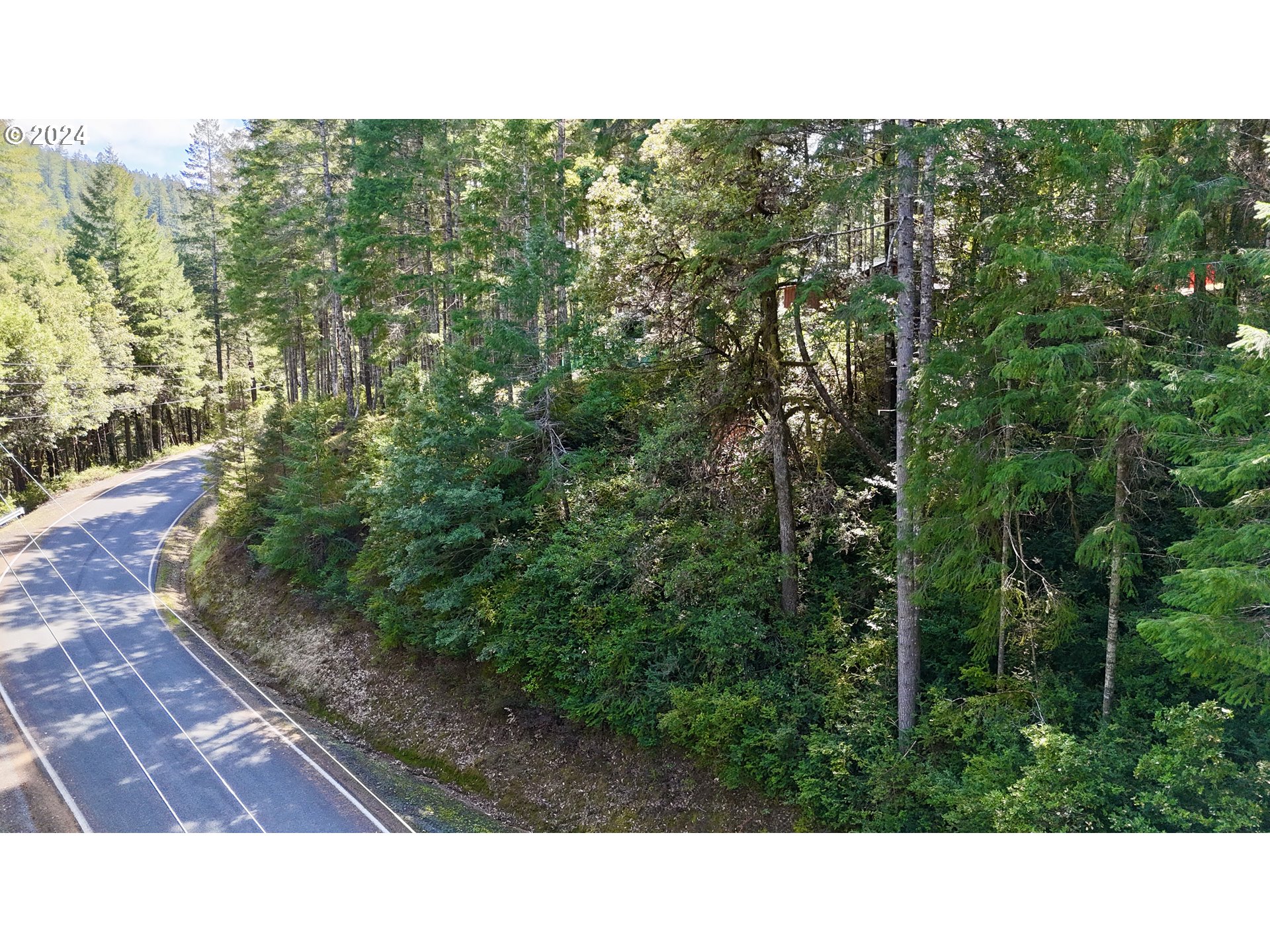 a open area with trees in the background