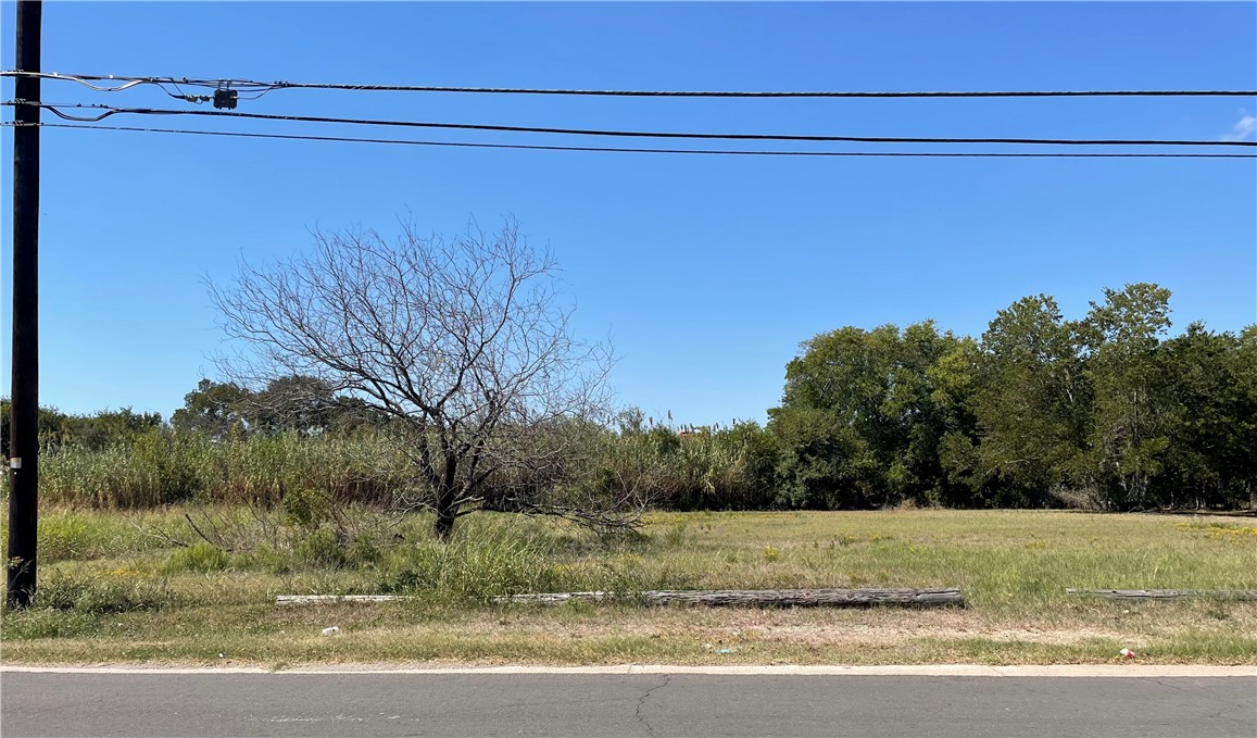 a view of a yard