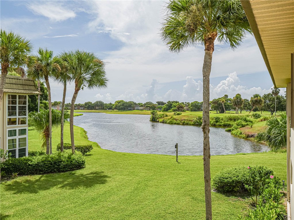 a view of a lake with a big yard and palm trees