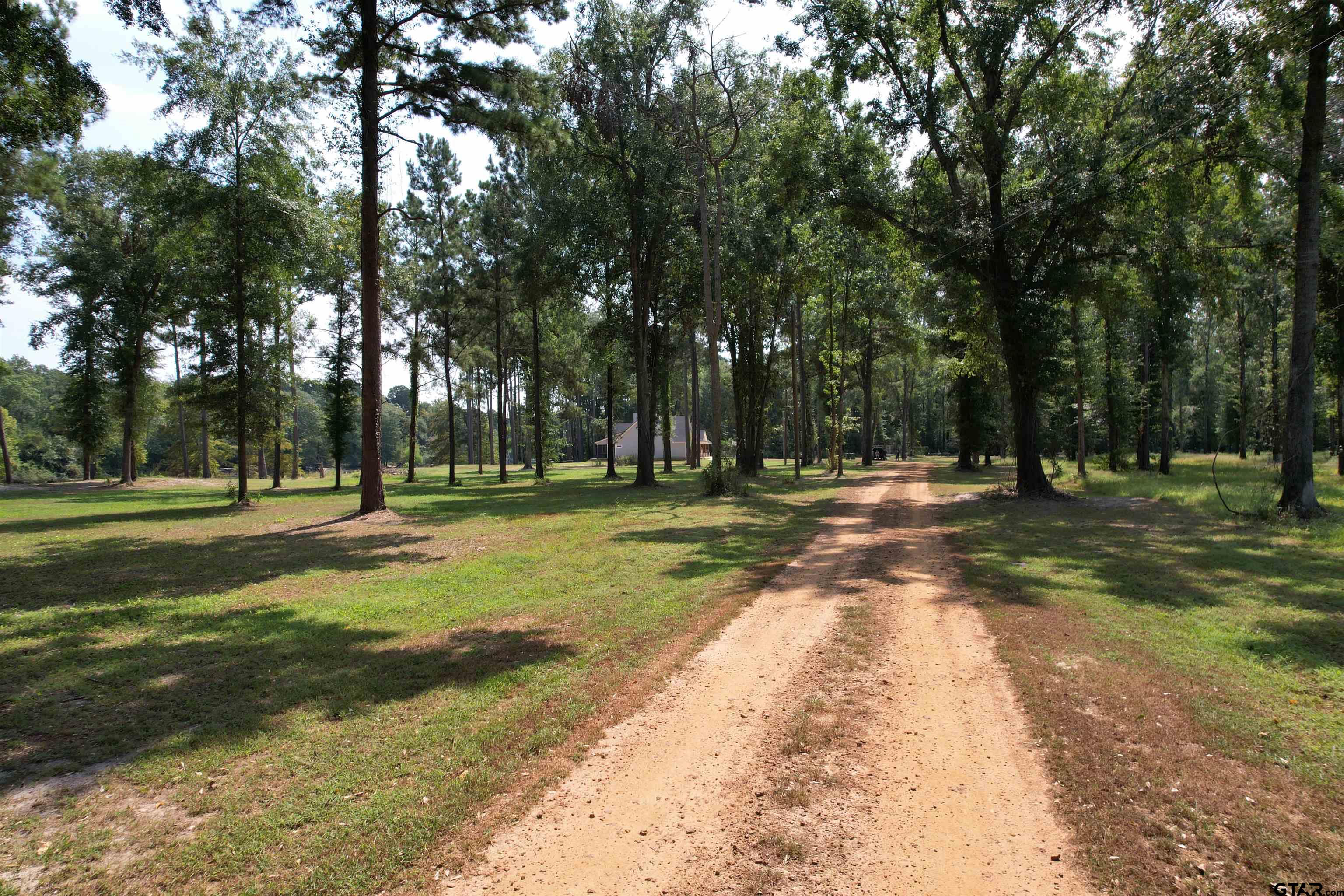 a view of a park with tree s