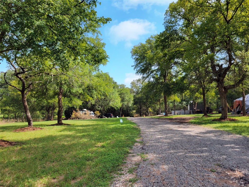 a view of a park with large trees