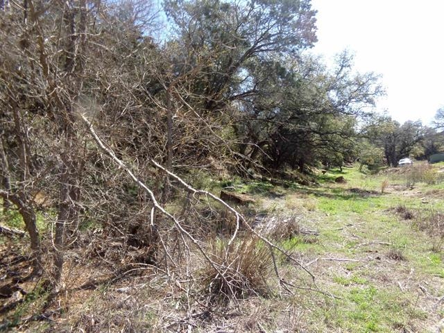 a view of a yard with a tree