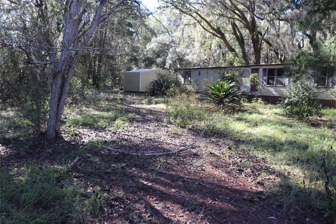 a view of a backyard