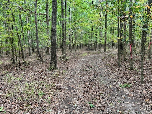 5 level, private unrestricted acres minutes from Monteagle and convenient to I-24