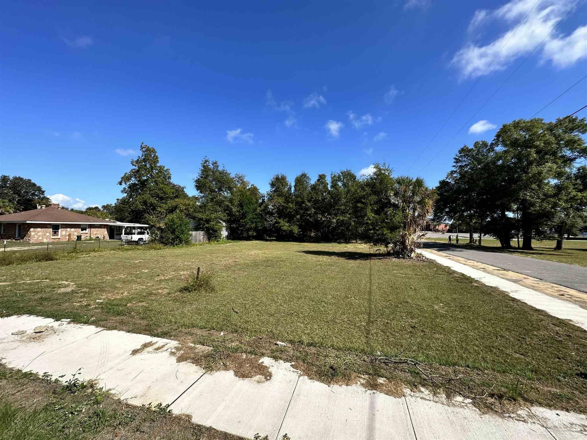 a view of a trees in a yard