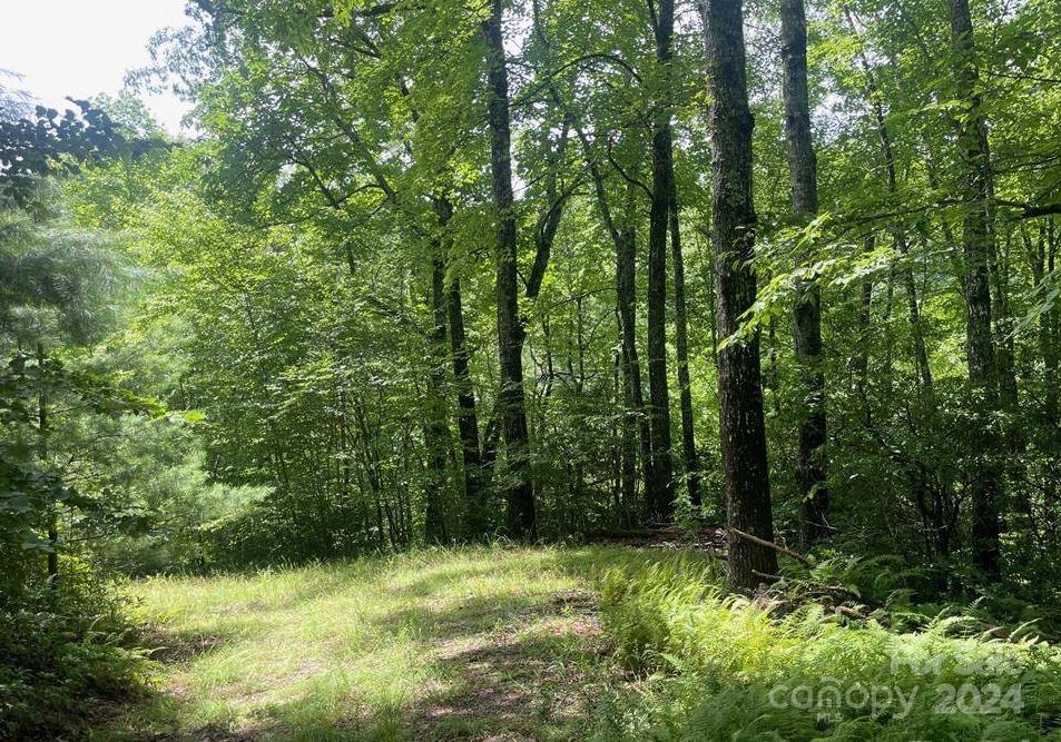 a view of outdoor space and trees