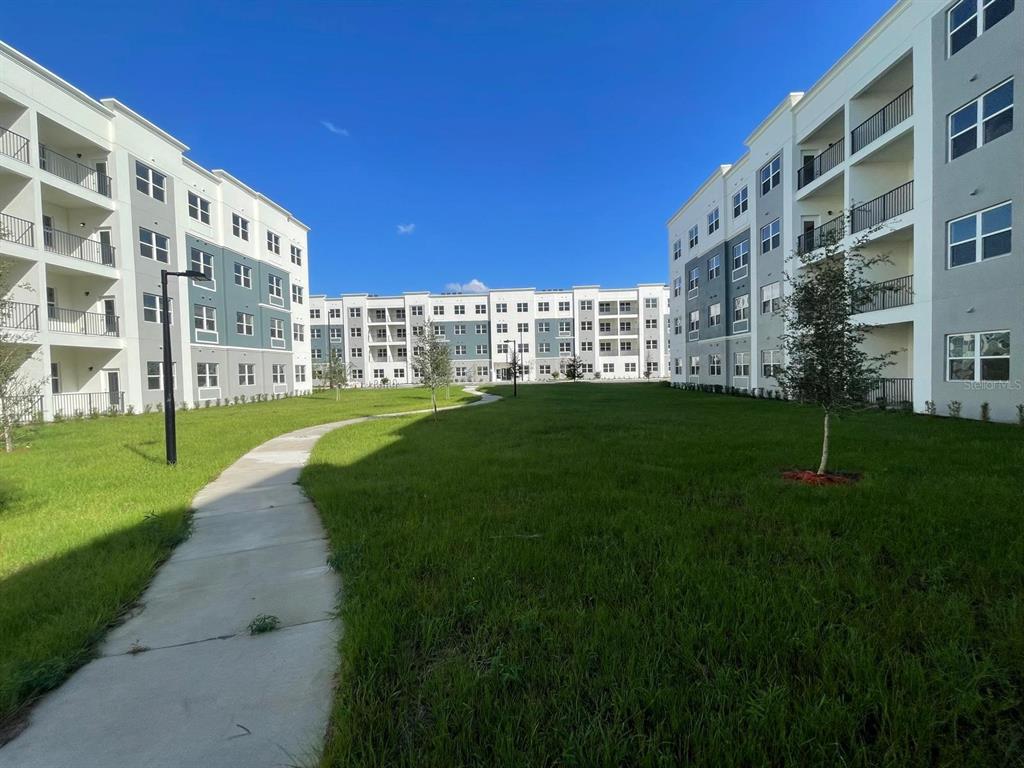 a garden view with a big yard