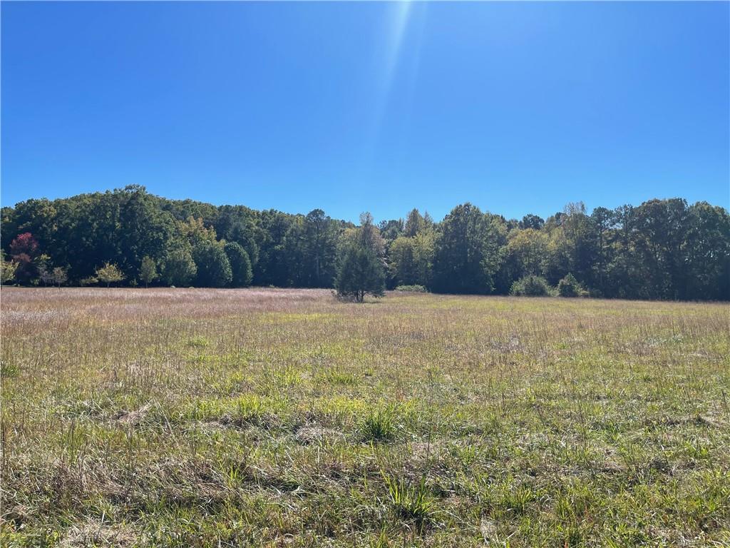 a view of a field with trees in the background