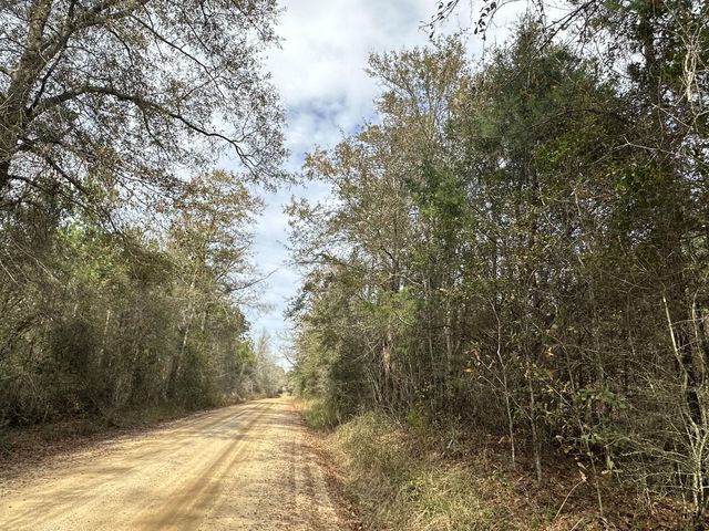 $139,900 | Tract#6301 Southwest Love Road