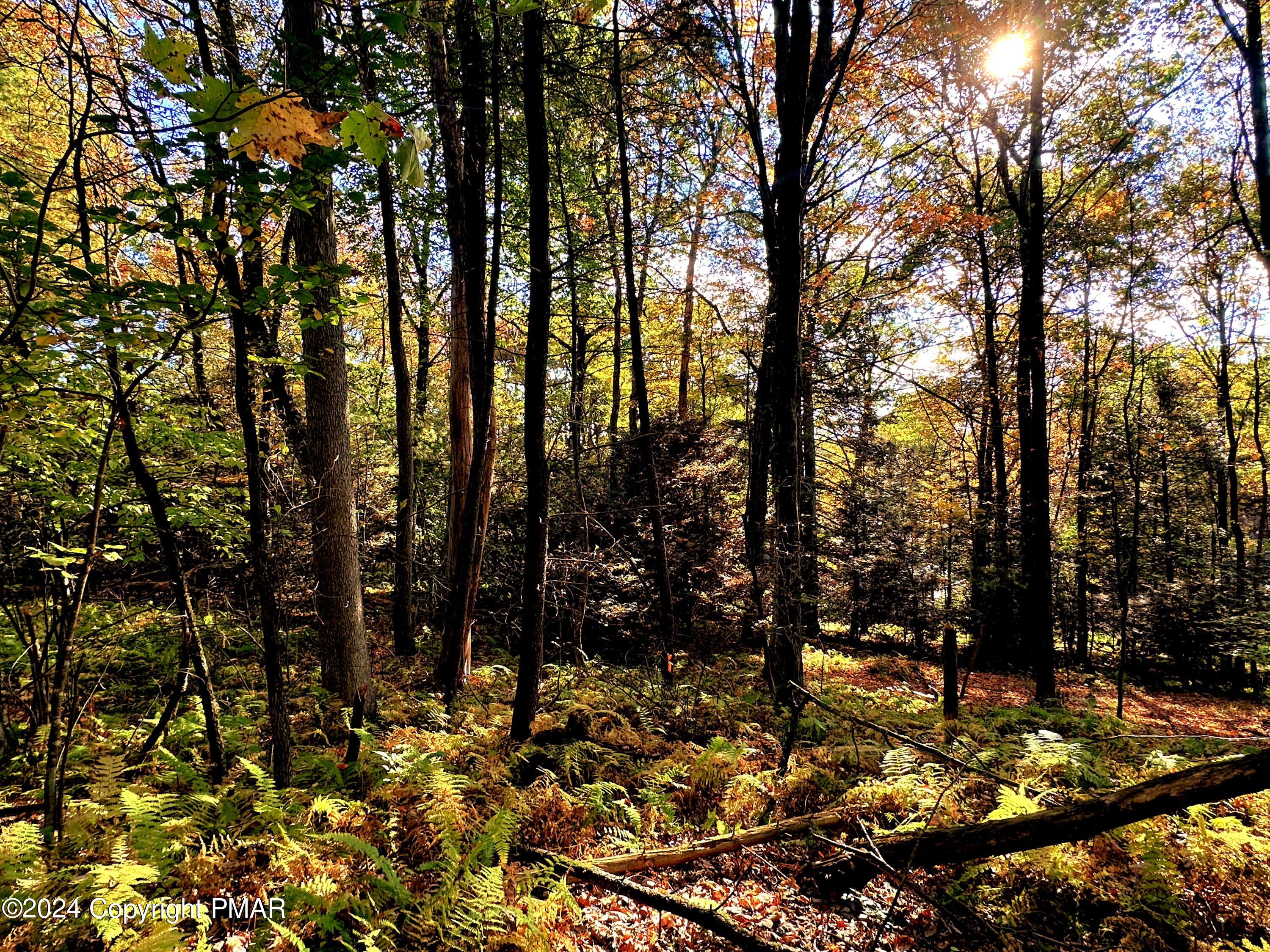 a view of outdoor space