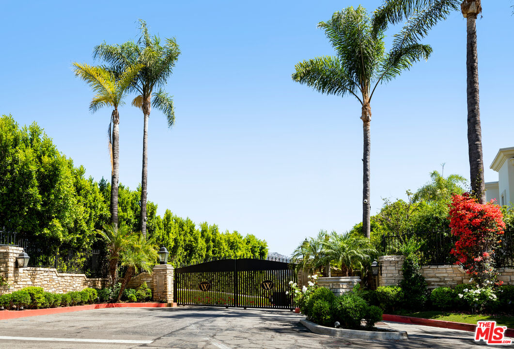 a view of a garden with a plant