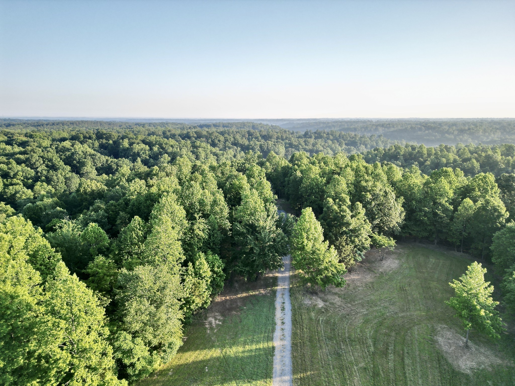 an aerial view of mountain with trees