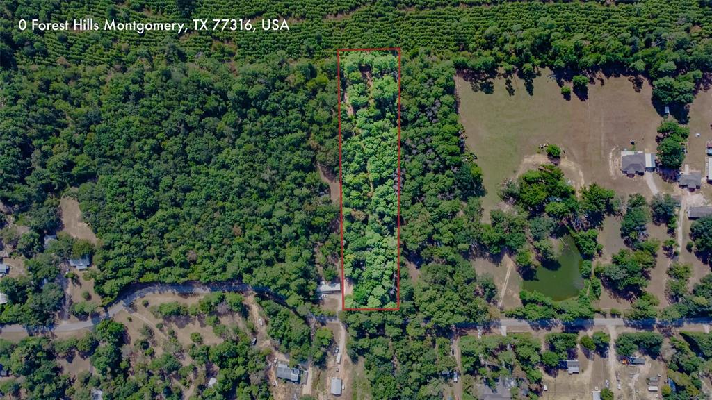 an aerial view of a house with a yard and covered with trees