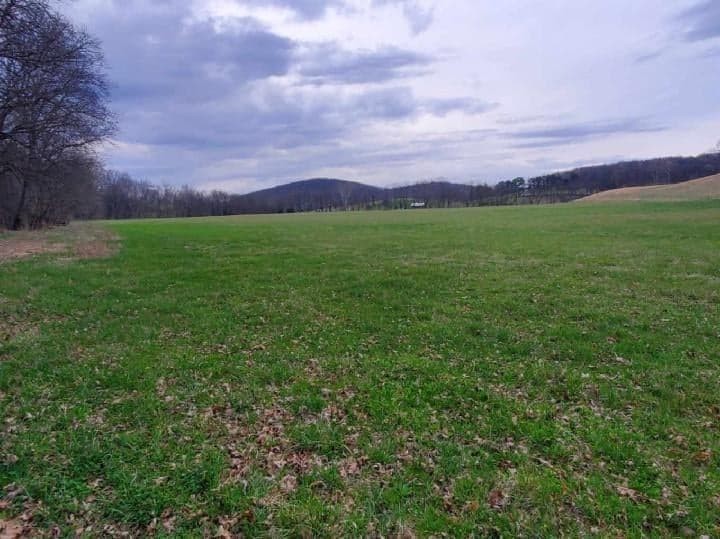 a view of a lush green space and a yard