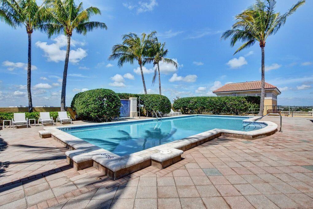 a view of a backyard with palm trees