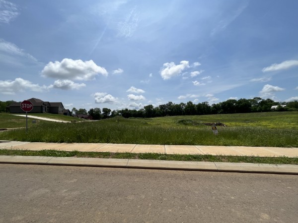 an aerial view of a house with a yard and lake view