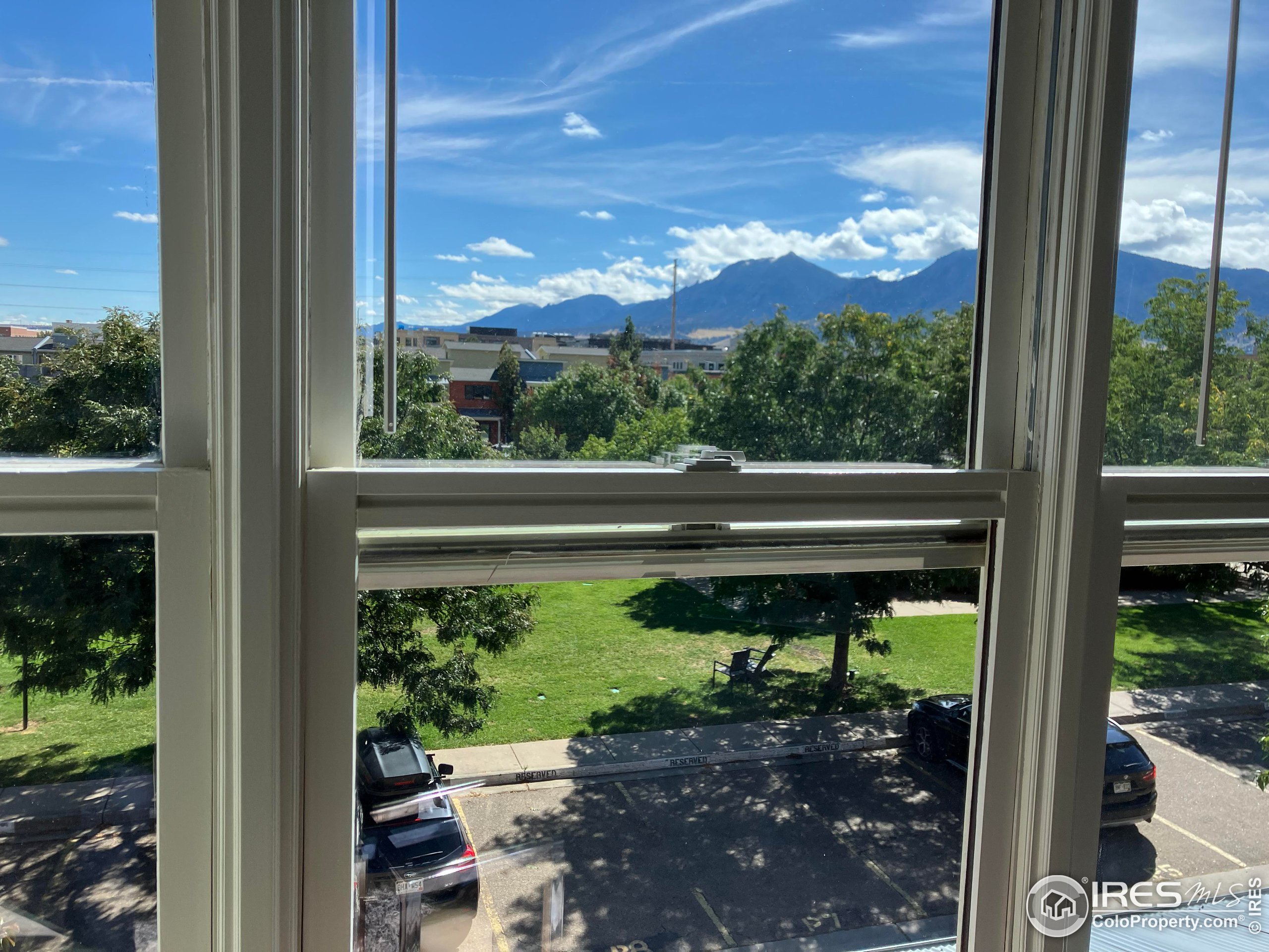 a view of yard from a window