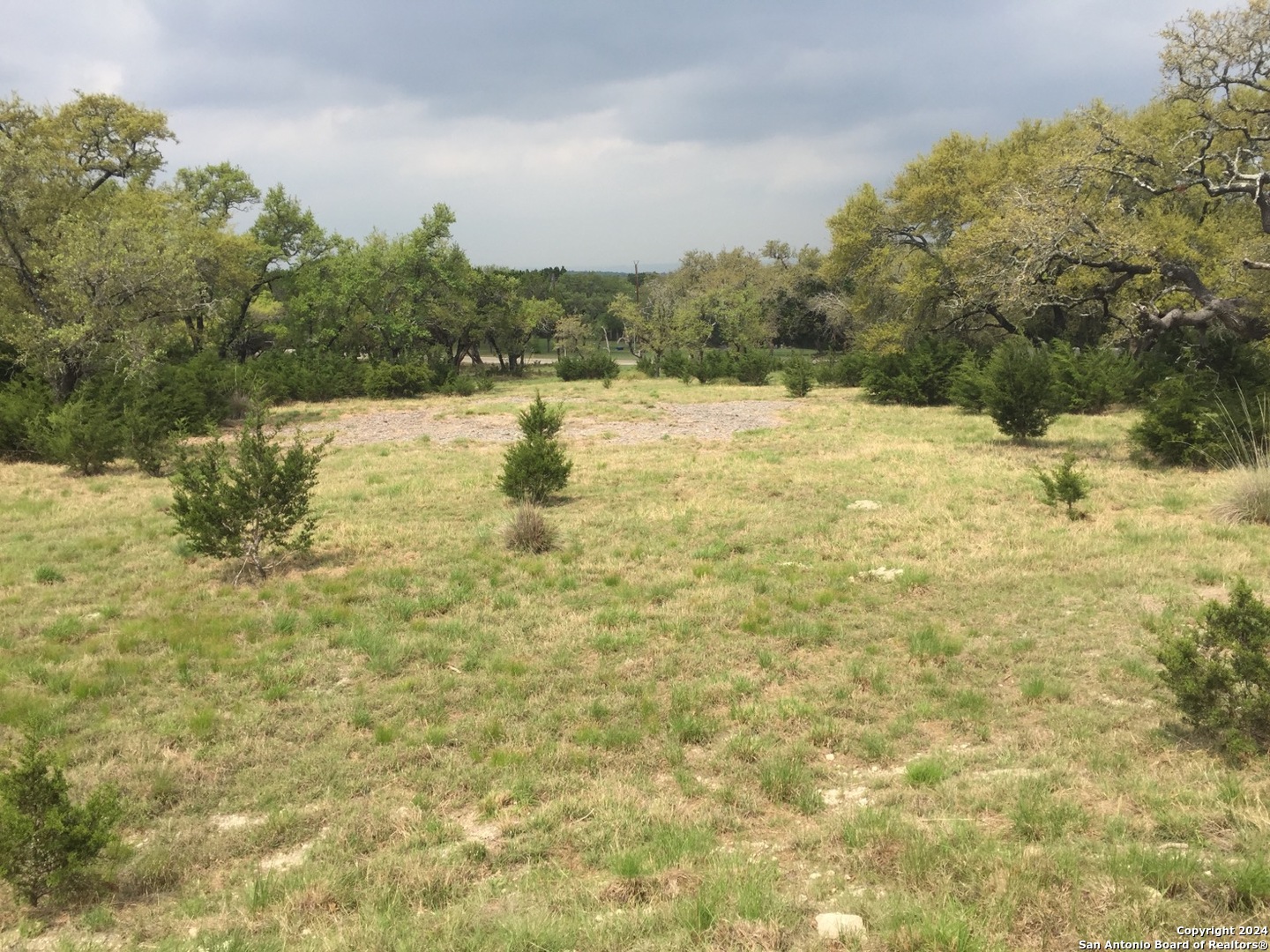 a view of a yard with trees in the background