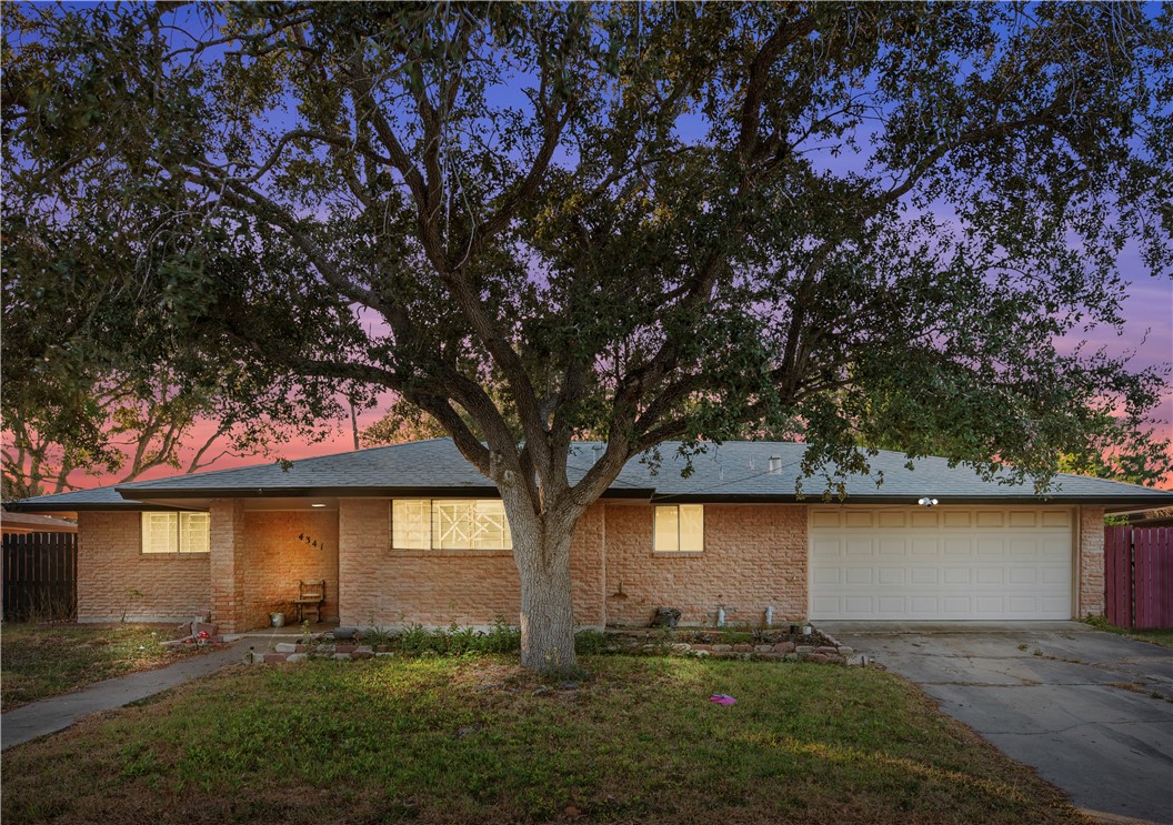 a view of a yard in front of a house with large tree