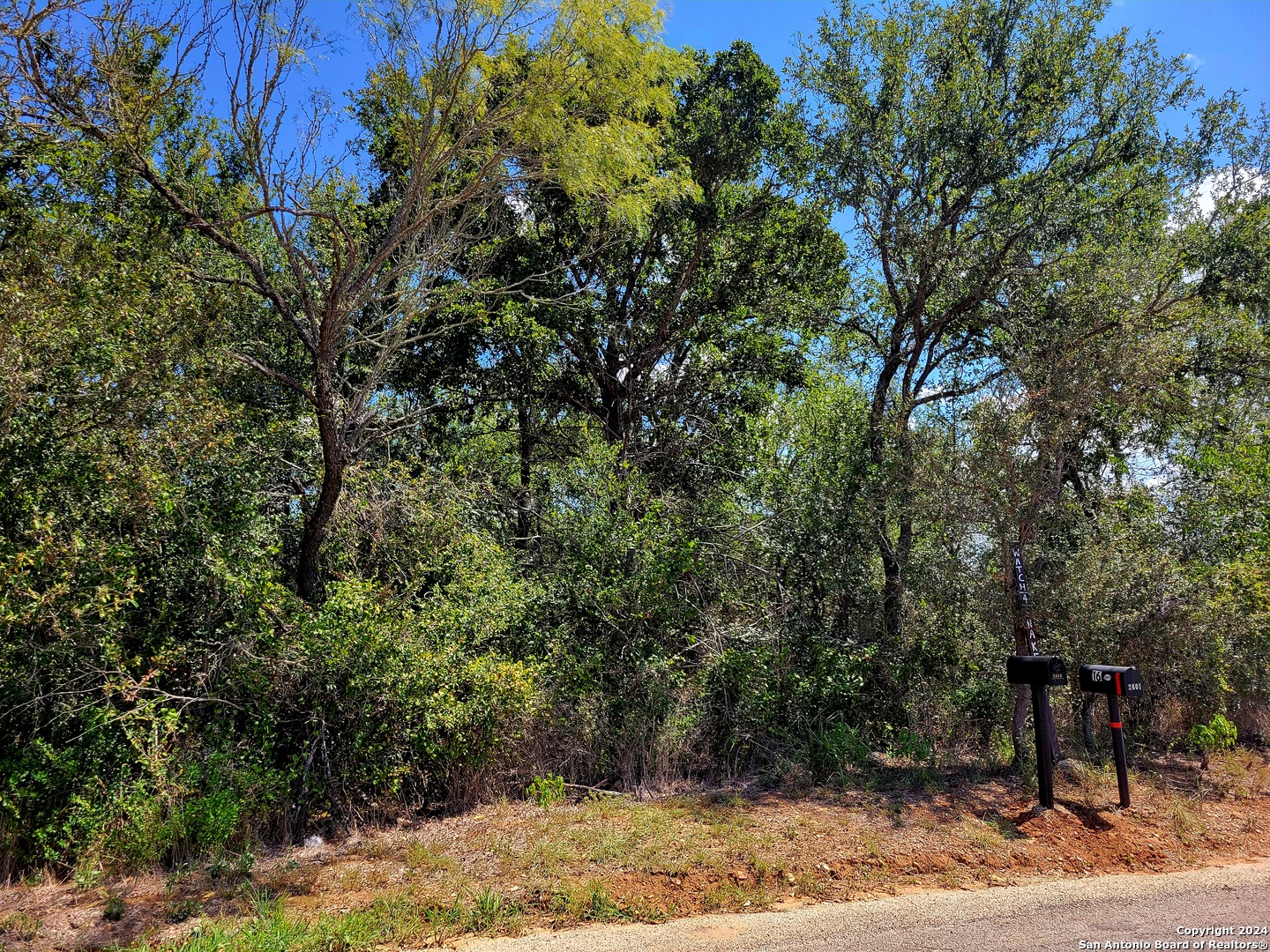 a view of a backyard of the house