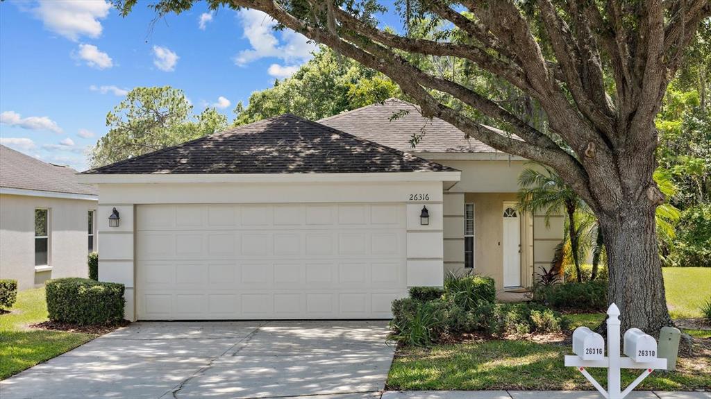 a house with a tree in front of it