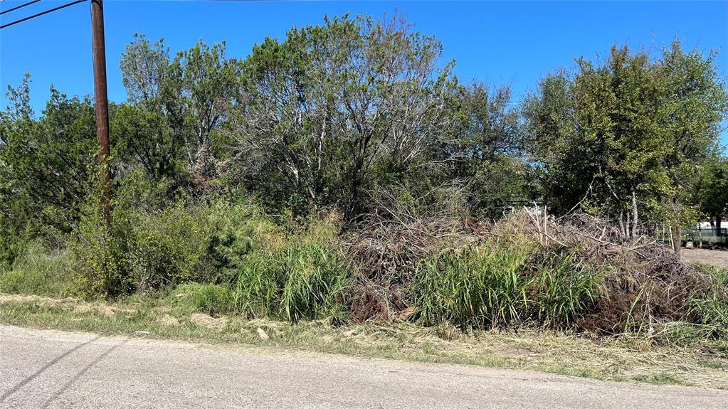 a view of a yard with plants and trees