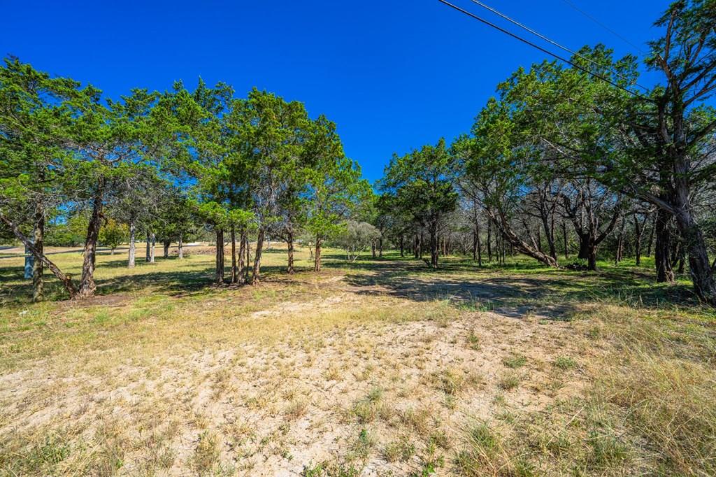 a view of yard with tree