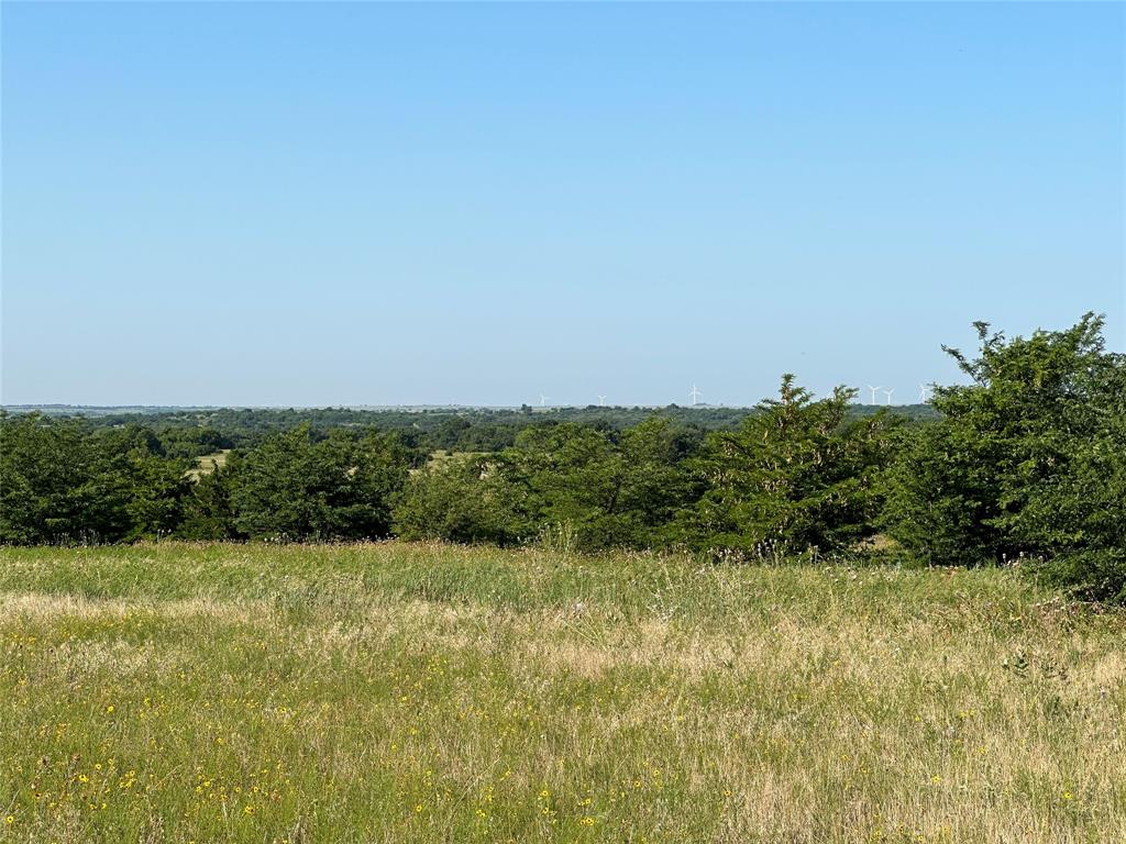 a view of a field with an ocean