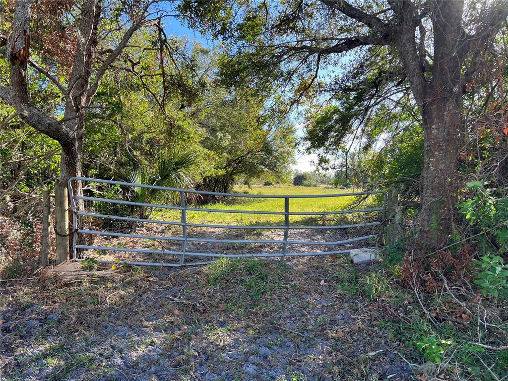 Entrance Across from Leon Drive