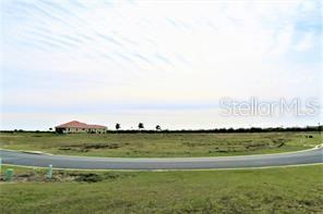 a view of a grassy field with an ocean