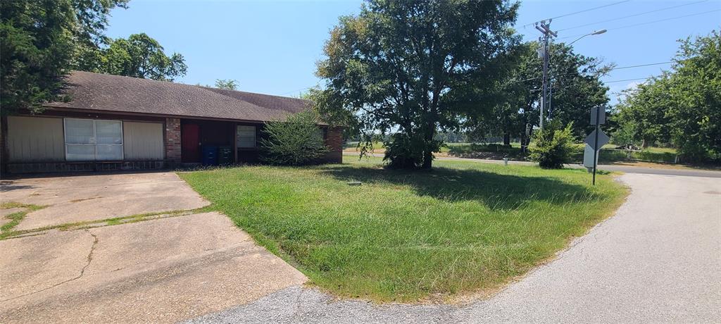 a view of a backyard with a garden and trees