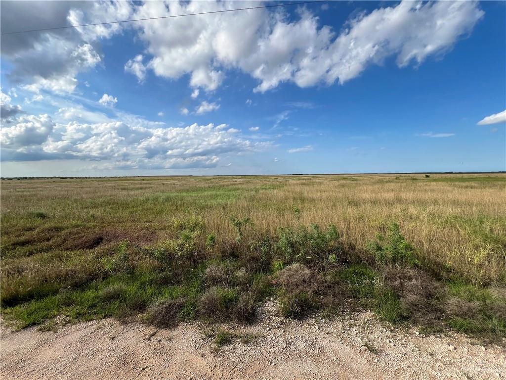 View of local wilderness with a rural view