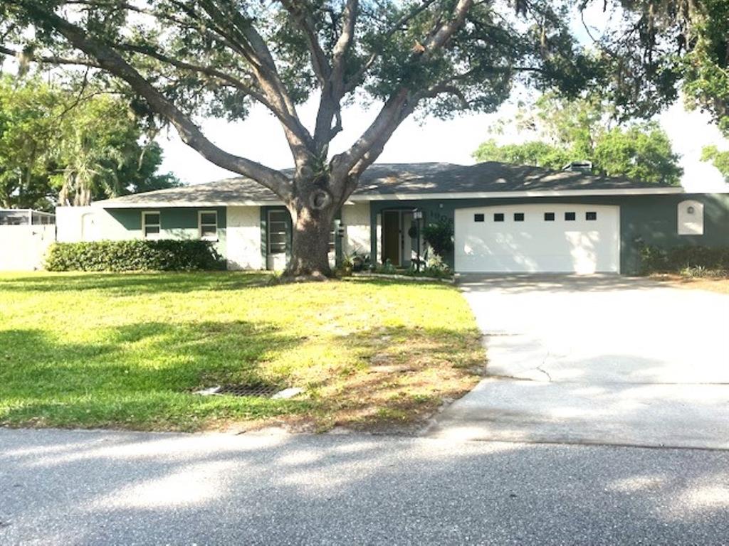 a view of a house with a yard and a large tree